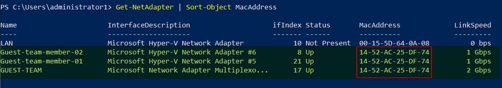 Setting a static MAC address on a guest NIC team in Hyper-V